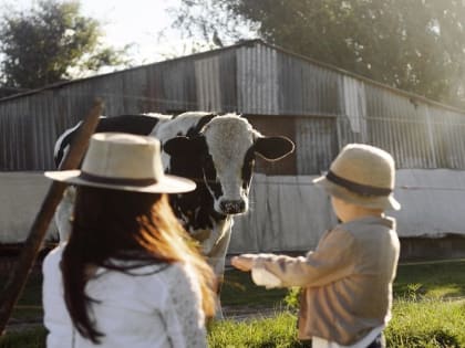 Вступил в силу закон, позволяющий создавать крестьянское (фермерское) хозяйство без образования юридического лица