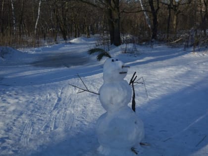 В МЧС предупреждают саратовцев о ночных морозах до 20 градусов и сильном ветре