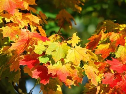В Саратовской области ожидают прогрев воздуха до +27 градусов