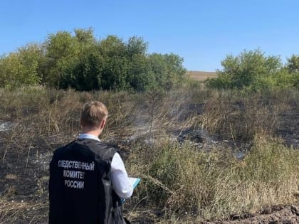 Пожар унес жизнь пенсионера в Саратовской области