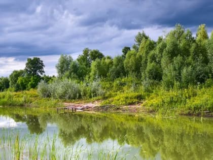 Вечером в Правобережье ожидается небольшой дождь