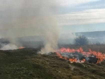 В саратовских лесах начался пожароопасный сезон