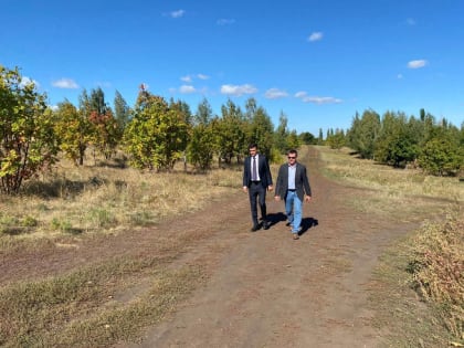 И.о.главы администрации Волжского района совместно с коллегами осмотрел территорию Парка Свободы
