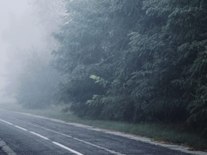В Саратовской области ожидаются дожди, грозы и туман