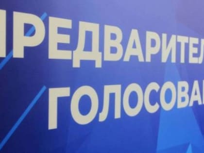 Николай Панков озвучил итоги предварительного голосования