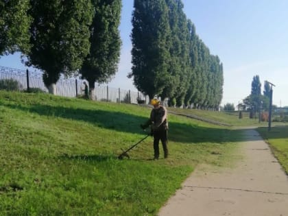 Подметание дорог, покос травы, вывоз мусора. Благоустройство города сегодня