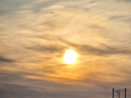 В Саратове без снега и тепло