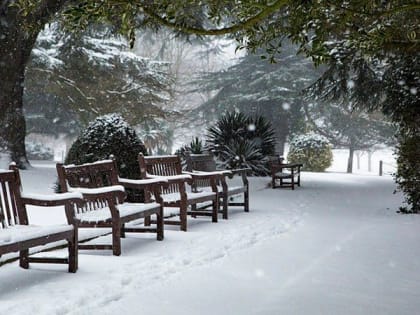 В Саратовской области ожидается день без снега и ветром до 14 м/с