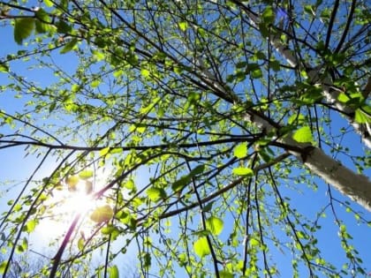 В Балаково потеплеет до +25 градусов