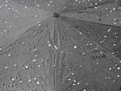 В Саратовской области ожидаются дождь и до +4 градусов тепла