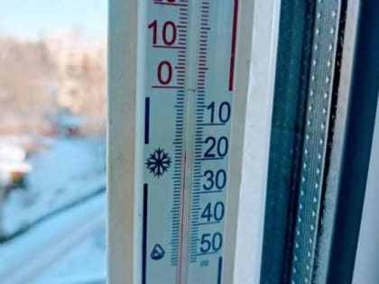 Южный ветер немного ослабит мороз в Саратовской области