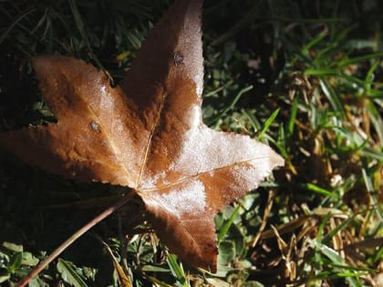 В Правобережье ожидаются дожди и до +28 градусов