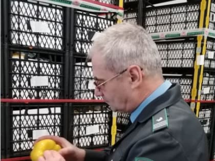 Управлением Россельхознадзора предотвращен ввоз зараженной партии перцев из Турецкой Республики