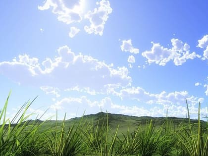 В Саратовской области прогнозируется день без дождей с ветром до 17 м/с