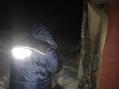 Рецидивист похитил двух мальчиков на Батавина