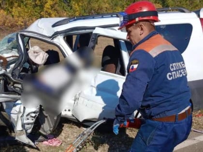 В минздраве рассказали о состоянии выживших в автокатастрофе иностранцев