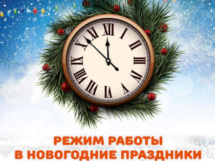 Информация об организации медицинской помощи населению Балаковского муниципального района в период празднования  Новогодних каникул и Рождества Христова