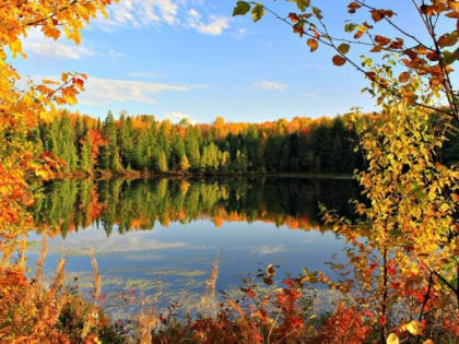 Оперативный прогноз погоды 2 октября 2023 года