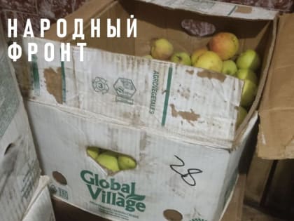 Нарушения в организации питания привели к кишечному отравлению школьников в СОШ № 28 г. Балаково. Итоги проверки Народного фронта