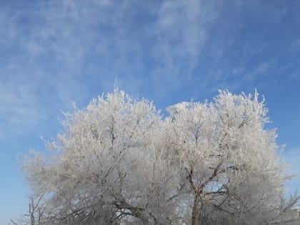 Народные приметы на 11 февраля, Лаврентьев день: чего лучше не делать саратовцам в субботу