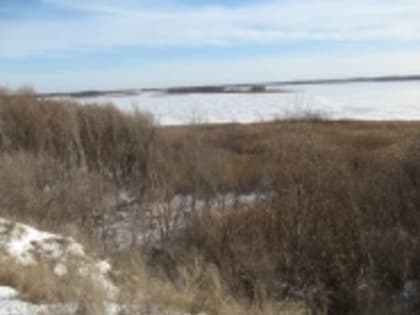 Лада Мокроусова: «Предотвращена незаконная застройка берега Волги»