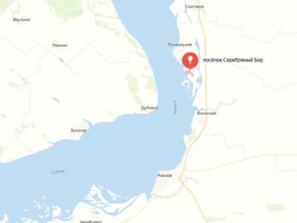 Смертельный распил. В Серебряном Бору дровосек зашиб товарища деревом