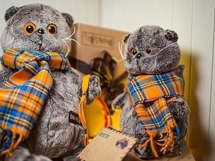 Саратовские предприниматели заплатят за кота "Басика" и фото храма