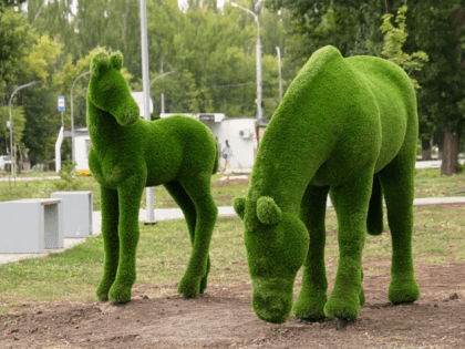 Парк «Центральный» в Балакове: место для семейного отдыха