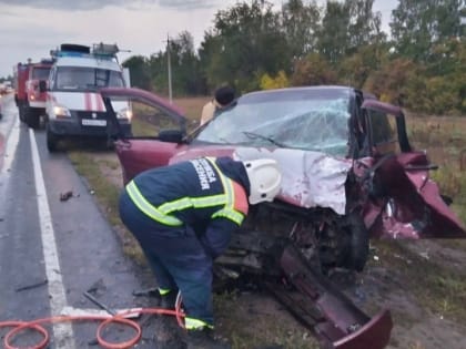 Под Марксом столкнулись два авто. Их водителей пришлось извлекать спасателям