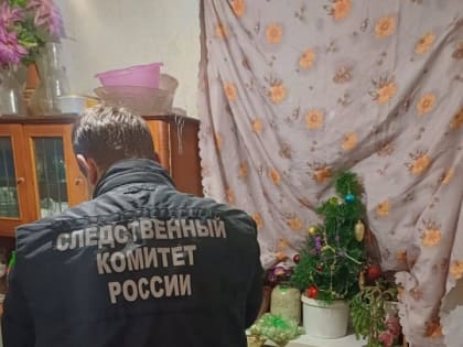 Пьянка на Высокой: саратовец насмерть забил хозяйку дома