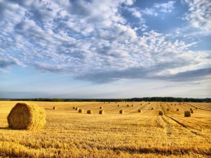 Оперативный прогноз погоды 3 сентября 2023 года