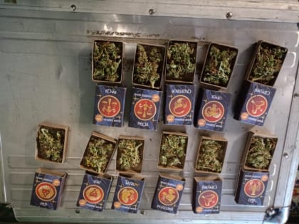 Растаман из саратовской глубинки фасовал урожай в зодиакальные коробки