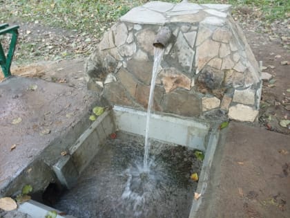 Саратовцам не советуют пить воду из родников
