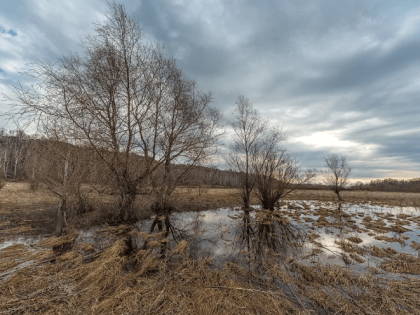В воскресенье краснокутцев ждет переменная облачность без осадков