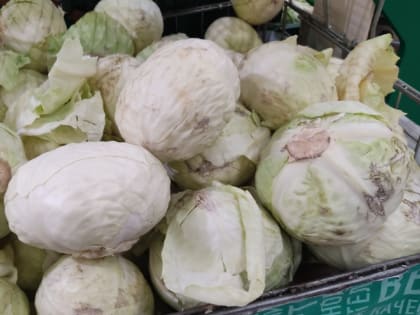 Одной строкой: 19 января 2023 года