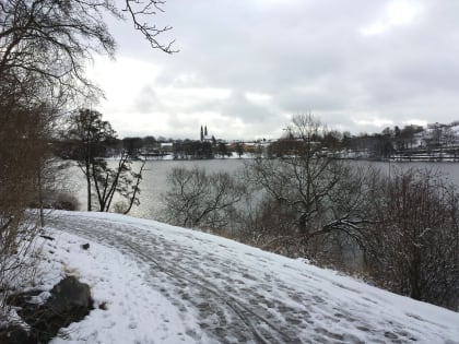 В среду краснокутцев ждет пасмурная погода с западным ветром