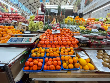 Эксперт Курбатова рассказала, сколько мандаринов можно съедать в день