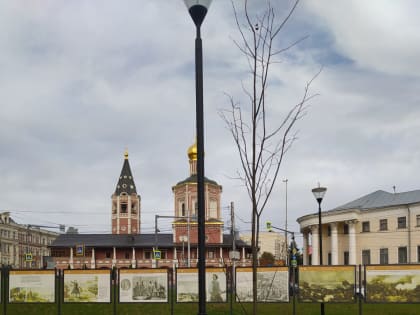 В Волжском районе продолжается высадка молодых деревьев