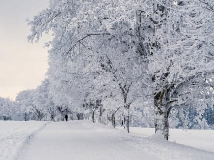 Саратовцев ждет ясная погода и ослабление морозов