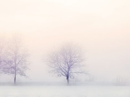 В Саратове неделя начнется с тумана и потепления до +2 градусов