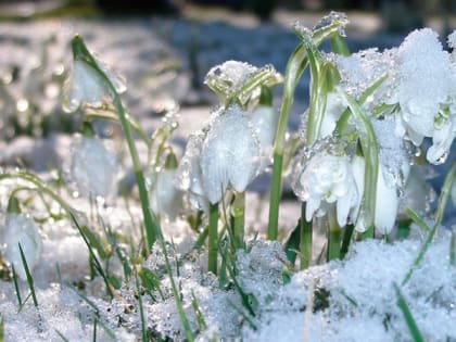 В Саратовской области прогнозируется день без осадков и ветром до 14 м/с