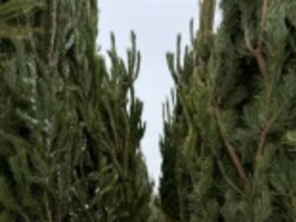 Вниманию жителей!