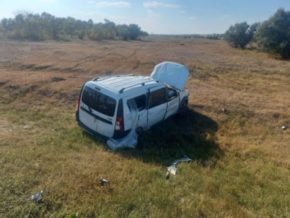 ДТП в Новобурасском районе: пострадала женщина