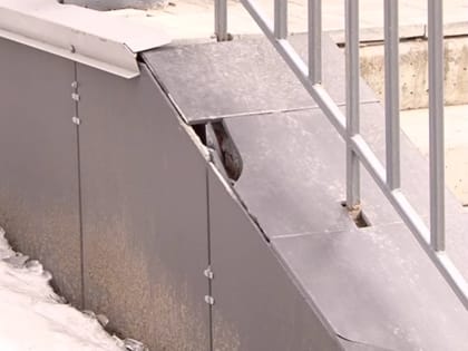 Вот это бадминтон! На ремонт копии сельского ФОКа в центре Саратова выделена субсидия