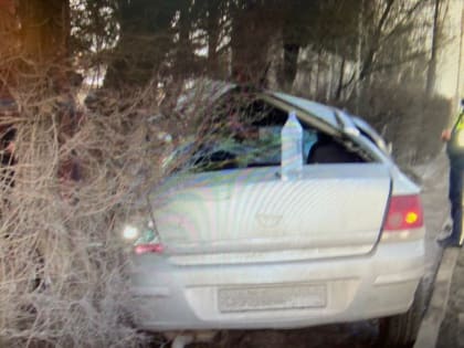 В Энгельсе иномарка врезалась в дерево. Два человека в больнице