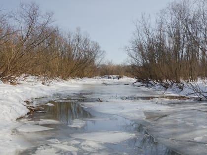 Краснокутцев в праздничный день ожидает незначительное потепление