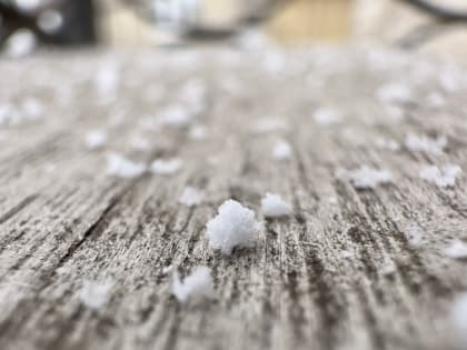 В Саратове возможен снег с дождем