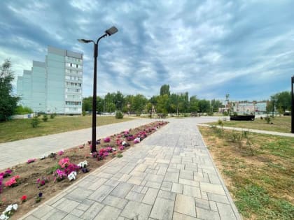 Озеленение до фонаря: в балаковских скверах расставят дизайнерские светильники и посадят микро-елочки