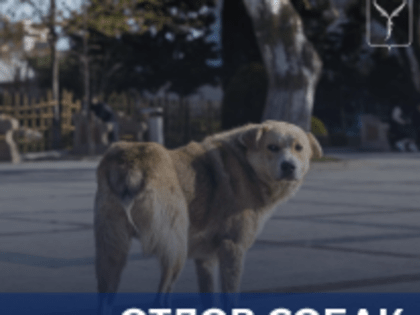 Напоминаем, на территории областного центра реализуется программа ОСВВ