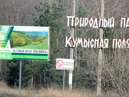 В Саратове создано лесничество Кумысная поляна